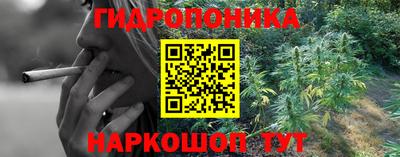 дурь Аргун