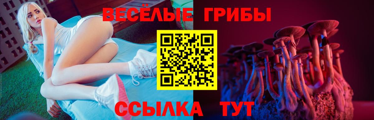 Бугульма  Псилоцибиновые грибы Psilocybe  Вход с VPN 